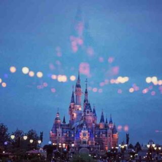 Quel est le Disney le plus populaire ?