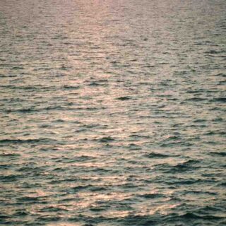 Quel est le meilleur film à l'affiche ?