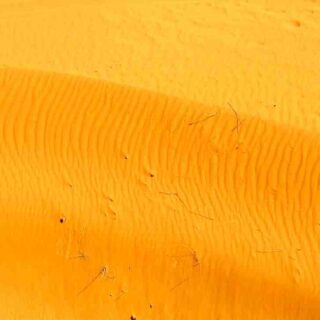 Comment regarder Disney plus sur la TV Orange ?