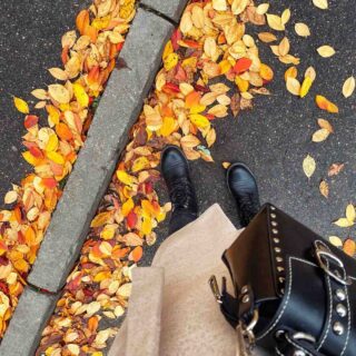 Où trouver les filtres Insta qui Es-tu ?