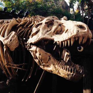 Quel film disney regarder