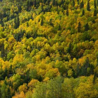 Quel parc disney choisir