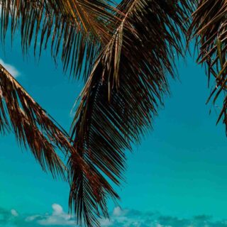 Où télécharger des séries gratuitement ?