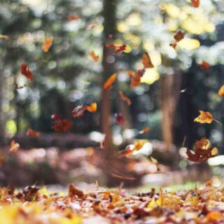 Quand sort la saison 17 de Grey's Anatomy sur Disney+ plus ?