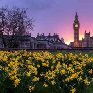 Qui a le plus grand nombre de Grammy ?