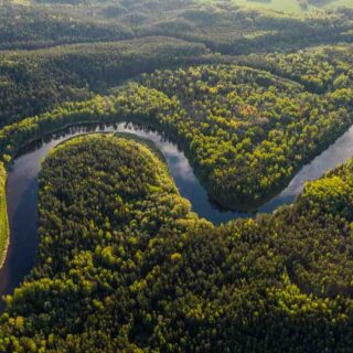 Pourquoi Amazon Prime m'a prélevé 49 € ?