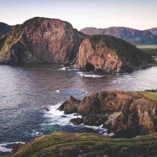 Quelle fréquence alouette ?