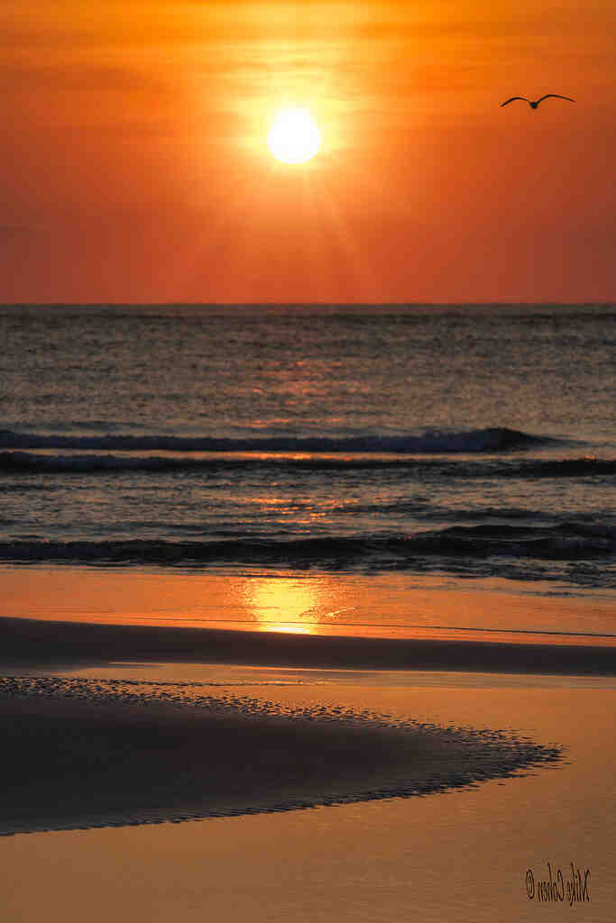 Est-ce que OCS est sans engagement ?