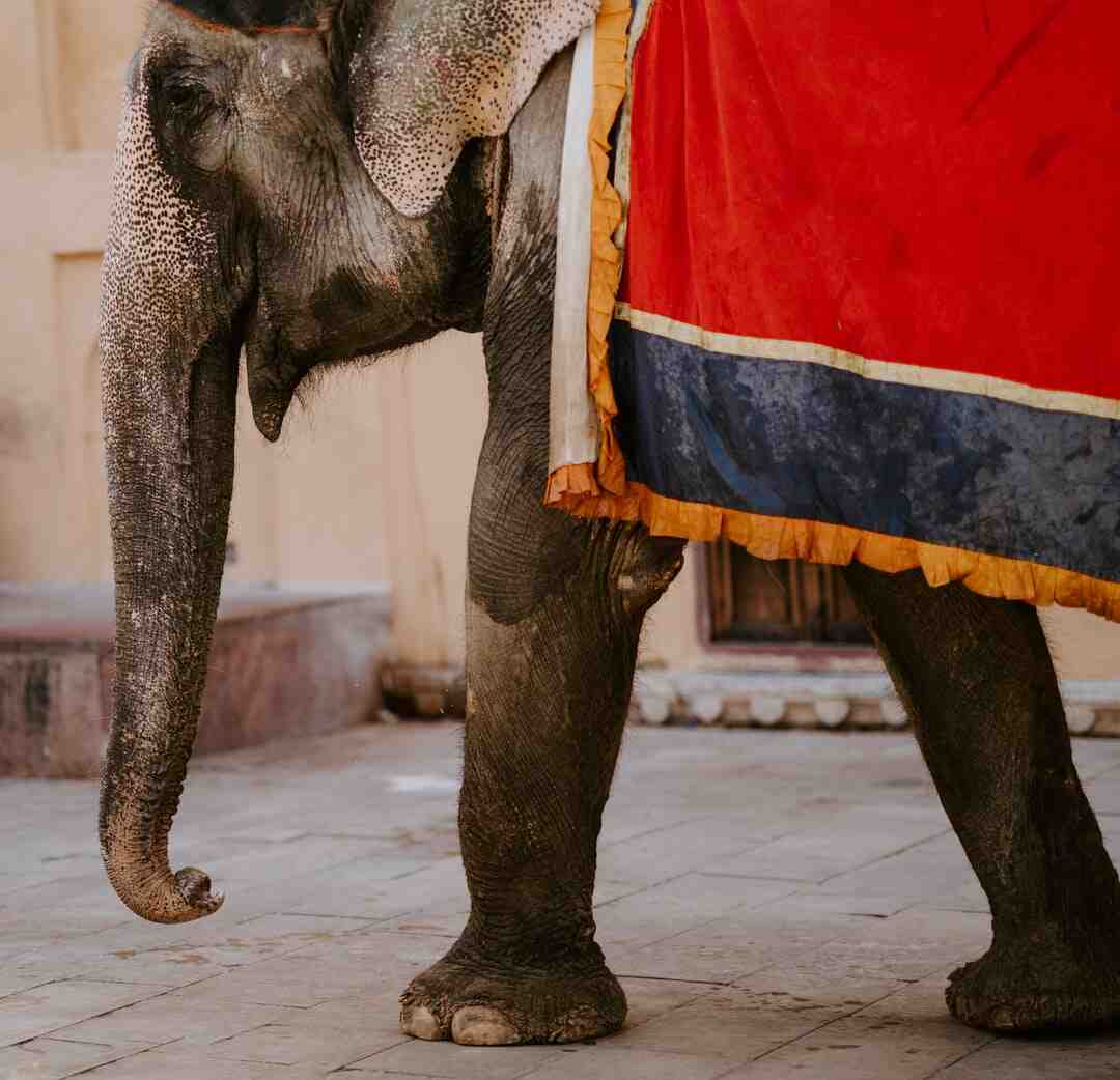 Pourquoi Johnny Depp en procès ?