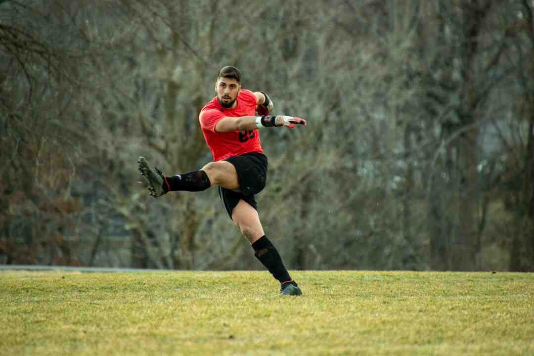 Quels sont les abonnements Disney ?