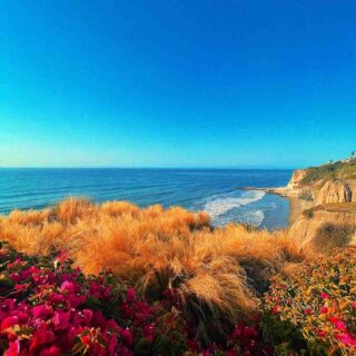 Quelle taille fait Giorno ?