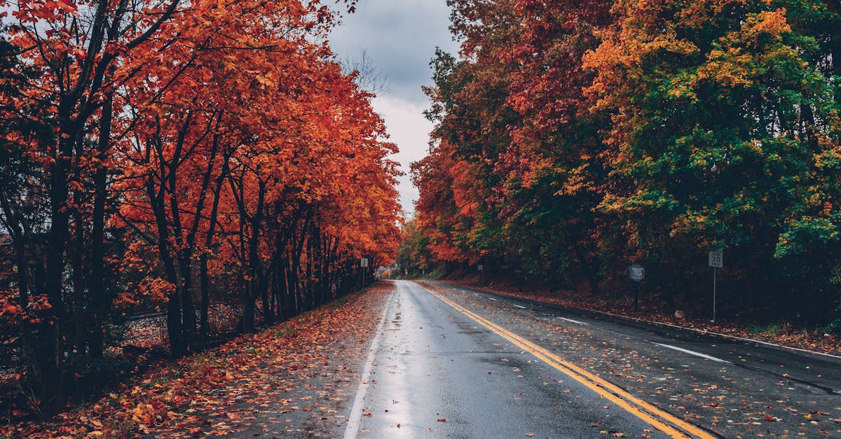 découvrez l'art de la perspective : explorez comment cette technique essentielle peut transformer votre vision et votre compréhension du monde. plongez dans les différentes approches et applications de la perspective dans l'art, la photographie et l'architecture.