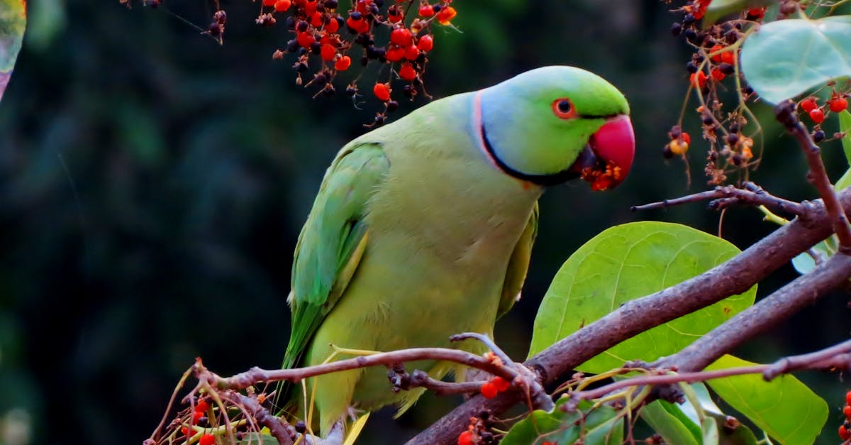 découvrez les séries incontournables à ne pas manquer ! plongez dans des récits captivants qui vous tiendront en haleine et redéfiniront vos soirées. que vous aimiez le drame, la comédie ou le suspense, notre sélection de séries à voir absolument vous promet des moments de divertissement inoubliables.