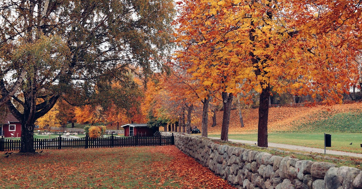découvrez notre série d'automne 2024, où la créativité rencontre l'élégance. plongez dans des récits captivants et des visuels enchanteurs qui célèbrent la beauté de la saison. ne manquez pas cette expérience unique qui allie mode, art et inspiration.