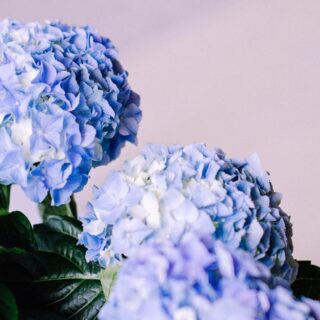 découvrez notre dernier épisode captivant, où nous explorons des thèmes passionnants et des histoires intrigantes qui vous tiendront en haleine. ne manquez pas cette aventure immersive qui stimule la réflexion et l'émotion.