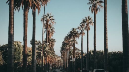 découvrez l'univers fascinant d'hollywood, le berceau du cinéma américain, où se mêlent glamour, étoiles et histoires captivantes. plongez dans l'histoire des films emblématiques, des célébrités et des coulisses de cette industrie mythique.