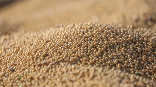 découvrez le concept de max, une approche innovante qui combine performance et simplicité pour améliorer votre quotidien. améliorez vos compétences et atteignez vos objectifs grâce à max.