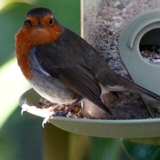 découvrez les incontournables à ne pas manquer avec notre sélection 'must-watch', une liste captivante de films, séries et événements qui sauront vous tenir en haleine et enrichir vos loisirs. ne ratez pas ces œuvres qui marquent les esprits !