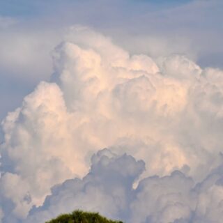 découvrez les incontournables à ne pas manquer ! plongez dans notre sélection des films, séries et événements qui captiveront votre attention et enrichiront votre expérience. préparez-vous à vivre des moments inoubliables !