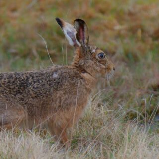 découvrez notre sélection incontournable de films et séries à ne pas manquer ! plongez dans des œuvres captivantes qui marquent les esprits et suscitent les émotions. préparez-vous pour une expérience cinématographique inoubliable.