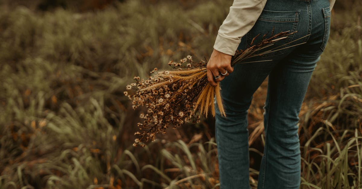 découvrez notre dernier épisode captivant où nous explorons des histoires fascinantes, des analyses approfondies et des interviews exclusives. plongez dans un univers riche en anecdotes et en savoir, parfait pour tous les passionnés !