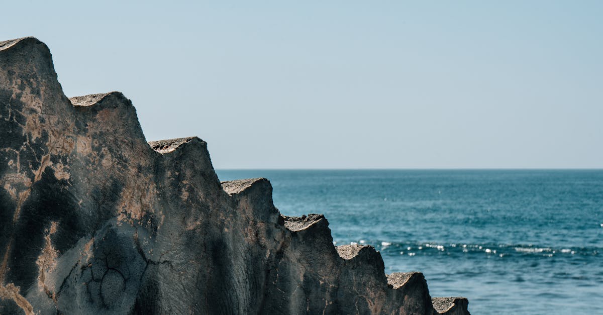 découvrez ce que june 2025 réserve pour les abonnés de prime video. films, séries inédites et contenus exclusifs à ne pas manquer ! plongez dans un univers de divertissement exceptionnel.