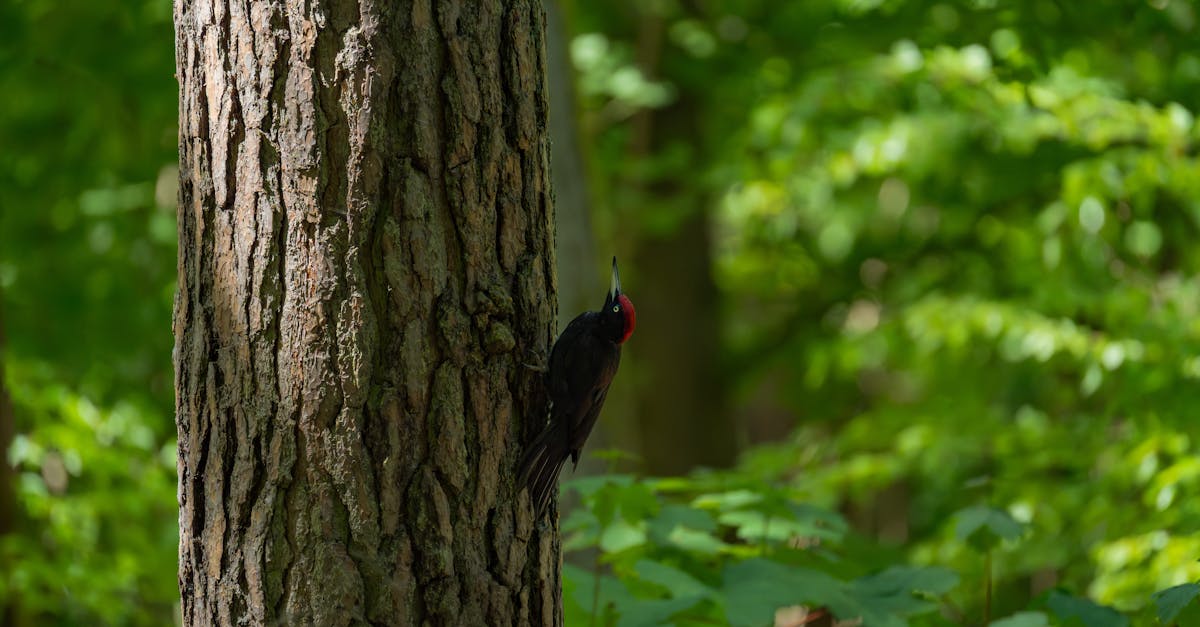 découvrez les incontournables à ne pas manquer dans notre sélection 'must-watch'. des films, séries et événements qui captivent l'attention et séduisent les passionnés. plongez dans des expériences visuelles et émotionnelles mémorables qui enrichiront vos moments de loisirs.