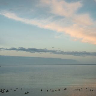 découvrez une sélection incontournable de films et séries à ne pas manquer ! plongez dans un univers captivant avec notre guide des must-watch qui saura satisfaire tous les goûts.