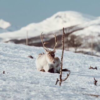 découvrez les nouveautés passionnantes de netflix pour septembre 2025 ! films, séries et documentaires à ne pas manquer pour enrichir vos soirées cinéma. restez à jour avec les dernières tendances et profitez d'un large choix de divertissements pour toute la famille.