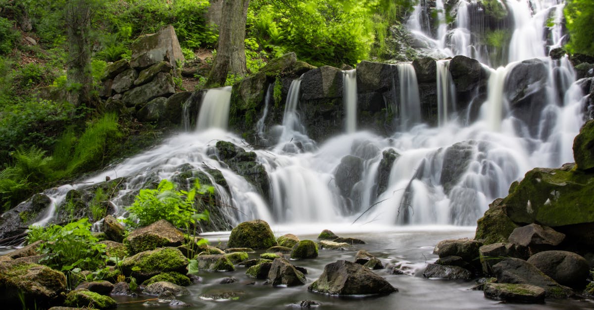 découvrez la série estivale 2025 : une collection captivante d'événements, d'activités et de tendances incontournables qui célèbrent l'été. ne manquez pas les temps forts de cette saison, prévoyez vos escapades, et laissez-vous inspirer par des expériences uniques qui marqueront vos vacances.