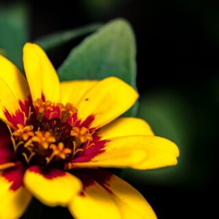 découvrez la série estivale 2025, une collection captivante d'épisodes inédits qui promettent divertissement et évasion pour les chaudes journées d'été. ne manquez pas les intrigues passionnantes et les personnages attachants qui vous transporteront dans des aventures inoubliables.