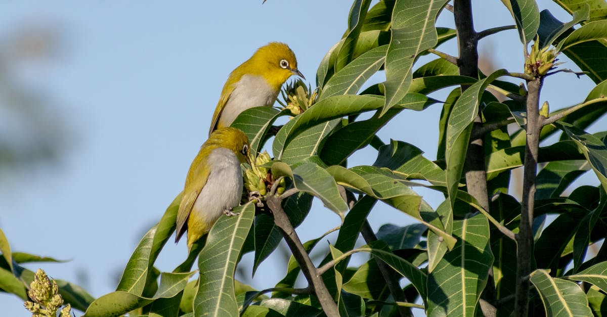 découvrez l'épisode 1262 : un nouveau chapitre riche en rebondissements, émotions et surprises à ne pas manquer. résumé, moments forts et analyses de votre série préférée !