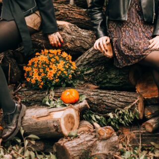 découvrez tous les secrets de la saison d'automne : tendances, activités, recettes et conseils pour profiter pleinement de la beauté de l’automne.