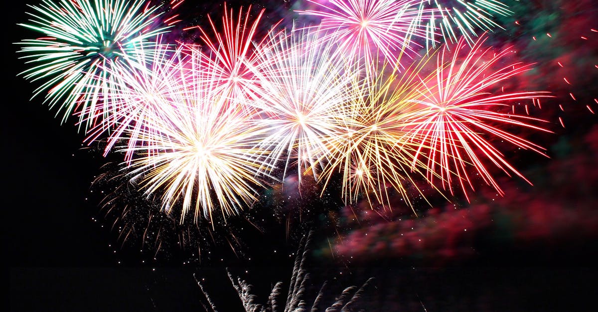 découvrez le festival incontournable de l'année : concerts, animations, gastronomie et expériences uniques attendent petits et grands pour des moments inoubliables !