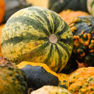 découvrez tout ce qu'il faut savoir sur le mois d'octobre : événements, traditions, conseils saisonniers et idées d'activités pour profiter pleinement de cette période automnale.