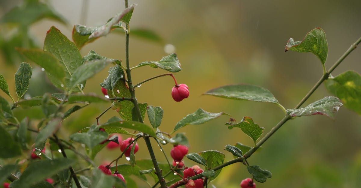 découvrez les tendances, événements et inspirations de l'automne 2025 : mode, décoration, voyages et conseils pour profiter pleinement de cette saison unique.