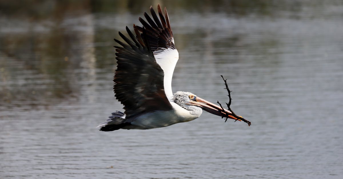 découvrez la signification du terme 'binge-watch', ses origines et comment il influence notre façon de regarder des séries et films en streaming. conseils, astuces et impacts sur notre quotidien.