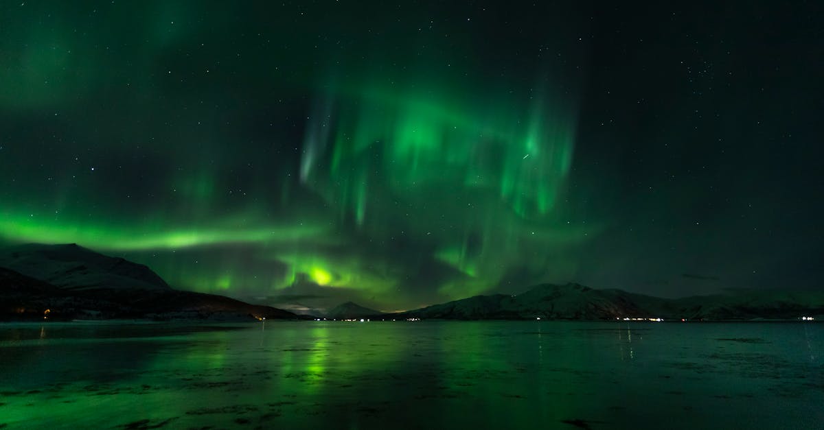 découvrez disney+, la plateforme de streaming qui vous propose les plus grands films, séries et dessins animés de disney, pixar, marvel, star wars et national geographic. profitez d’un large choix de contenus exclusifs adaptés à toute la famille.