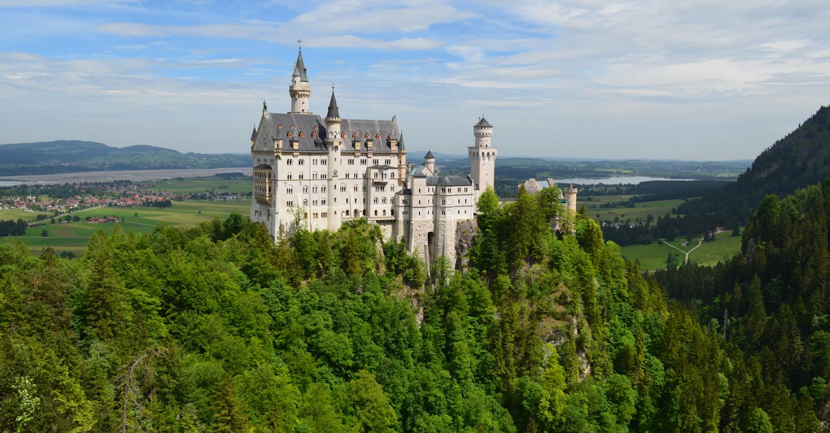 découvrez disney+ : votre plateforme de streaming dédiée aux films, séries et contenus exclusifs disney, pixar, marvel, star wars et national geographic. profitez d’un large choix de divertissement pour toute la famille, à tout moment et sur tous vos appareils.