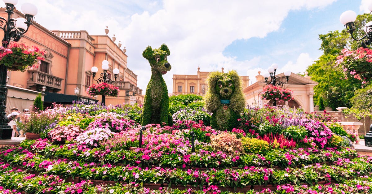 découvrez disney+, la plateforme de streaming incontournable pour profiter de vos films, séries, dessins animés et documentaires préférés de disney, pixar, marvel, star wars et national geographic. essayez disney+ dès maintenant !