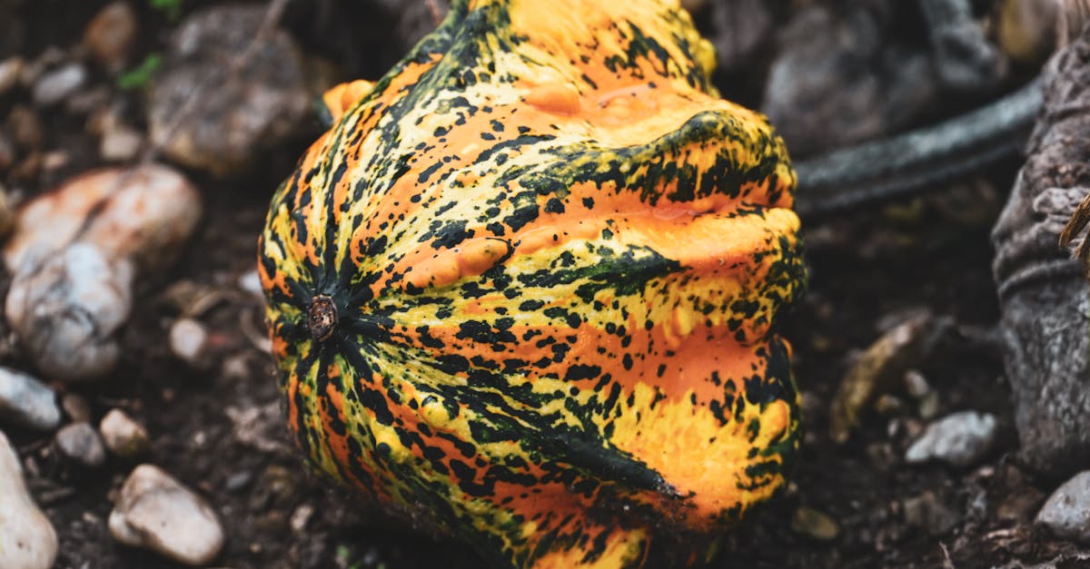 découvrez toutes les sorties du mois d'octobre : nouveautés, albums, films et livres à ne pas manquer. restez à jour sur les dernières tendances et nouveautés disponibles en octobre.