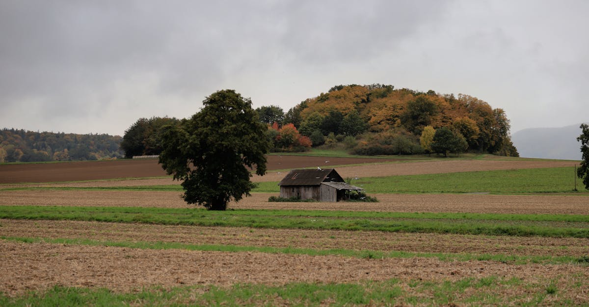 découvrez toutes les nouveautés et sorties marquantes du mois d'octobre : films, séries, albums musicaux et jeux à ne pas manquer. restez à jour avec les dernières sorties du mois !