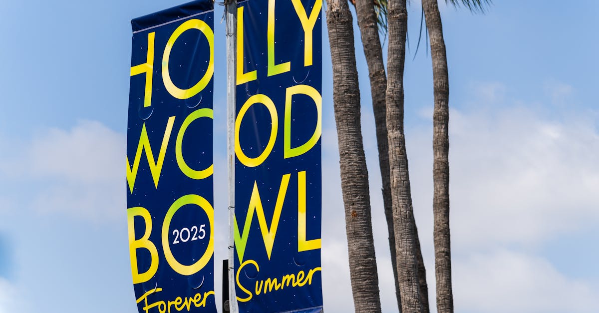 découvrez le meilleur du divertissement en 2025 : films, séries, jeux et événements incontournables pour tous les goûts.