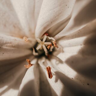 découvrez les meilleurs moments et contenus incontournables de disney+ pour toute la famille. profitez des films, séries et exclusivités qui font le succès de la plateforme.