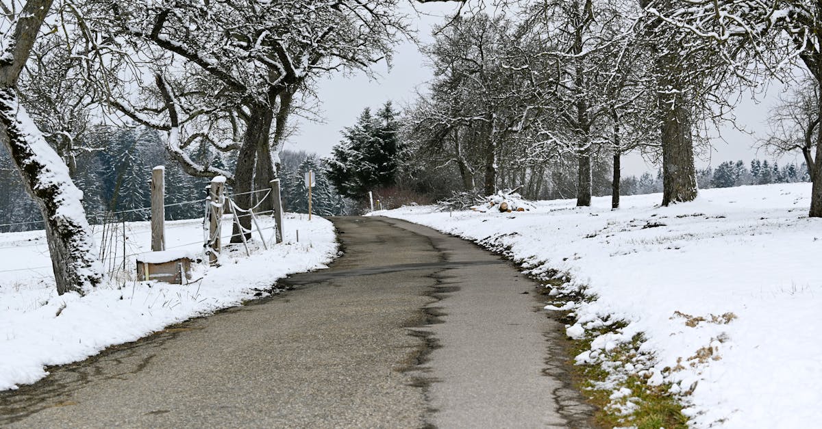 découvrez les nouveautés et les sorties incontournables sur netflix en décembre 2025. films, séries et exclusivités à ne pas manquer ce mois-ci.