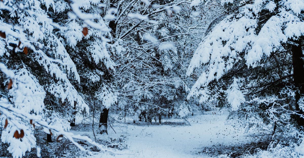 découvrez les nouveautés et les meilleures séries à regarder sur netflix en décembre 2025. guide complet des sorties, recommandations et tendances du mois.