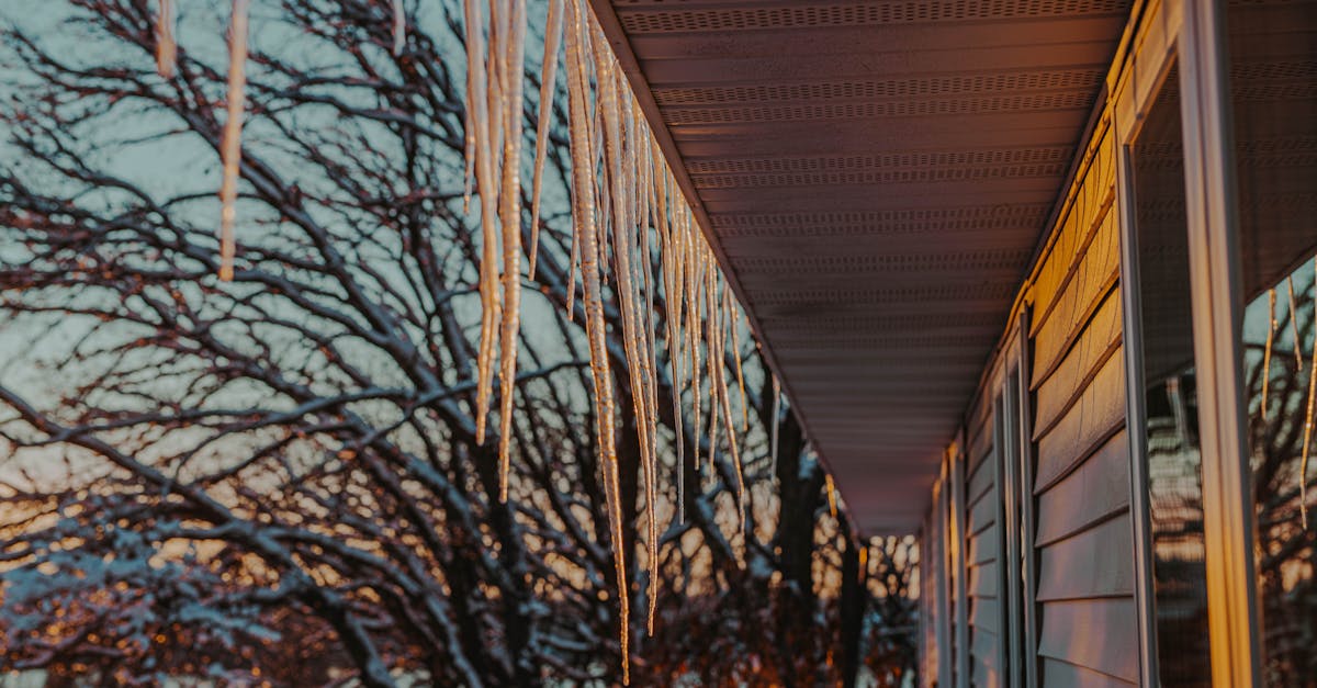 découvrez toutes les nouveautés netflix de décembre 2025 : films, séries et documentaires à ne pas manquer ce mois-ci.