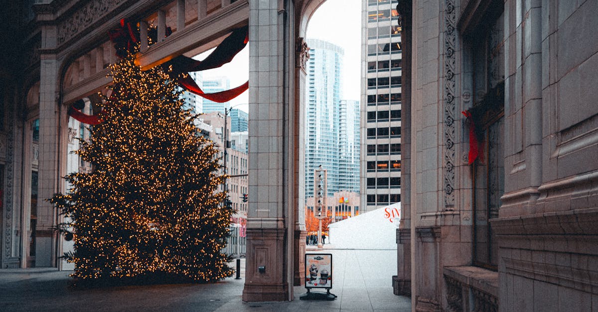 découvrez toutes les nouveautés netflix à ne pas manquer en décembre 2025 : films, séries et documentaires exclusifs pour bien finir l'année.