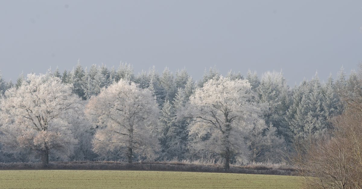 découvrez la sélection netflix france pour décembre 2025 : nouveautés, films, séries et programmes exclusifs à ne pas manquer ce mois-ci.