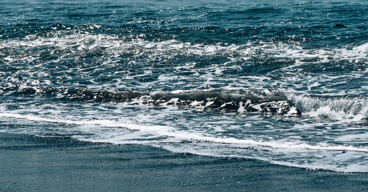 découvrez les nouveautés et les meilleures séries disponibles sur prime video en novembre 2025. profitez des films et exclusivités à ne pas manquer ce mois-ci !